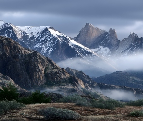 Krzewy, Grafika AI, Mgła, Góry, Zima