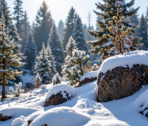 Drzewa, Głazy, Śnieg, Iglaste, Kamienie, Zima, Ośnieżone