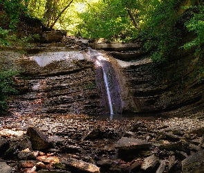 Strumyk, Rzeczka, Drzewa, Kamienie, Skały, Las, Wodospad