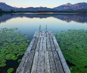 Góry, Bawaria, Liście, Niemcy, Odbicie, Lilie wodne, Pomost, Jezioro Hopfensee, Kwiaty