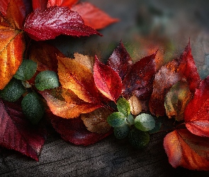 Grafika AI, Liście, Kolorowe, Różne