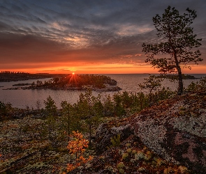 Karelia, Skały, Rosja, Ładoga, Niebo, Jezioro, Zachód słońca, Drzewa