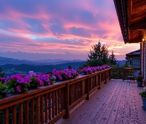 Dom, Zachód słońca, Balustrada, Balkon, Kwiaty