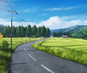 Domy, Słupy, Zielona, Góry, Znaki, Droga, Trawa