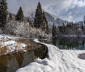 Szwajcaria, Gryzonia, Jezioro Cresta, Góry, Drzewa, Śnieg
