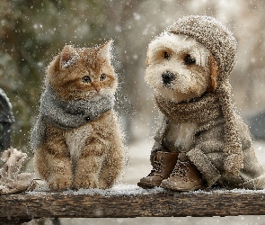 Grafika AI, Zima, Kot, Pies, Ubranka, Ławka