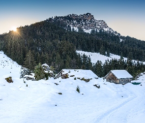 Ścieżka, Szopy, Góry, Promienie słońca, Drewniane, Zima, Drzewa