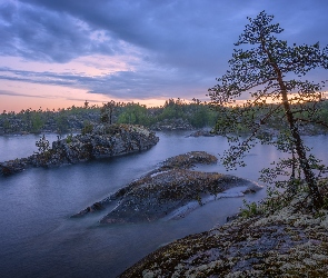 Drzewa, Skały, Karelia, Rosja, Jezioro, Ładoga