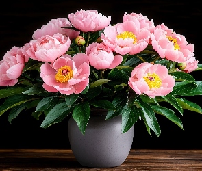 Piwonie, Stół, Wazon, Różowe, Kwiaty