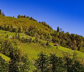 Natura, Niebo, Drzewa, Dom, Wzgórze, Góry