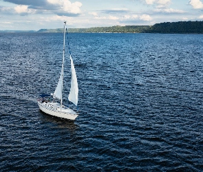 Żagle, Białe, Żaglówka, Morze