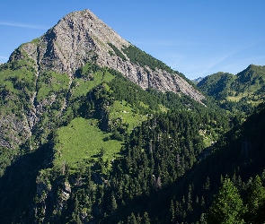 Szwajcaria, Krzewy, Skały, Trawa, Drzewa, Sosto Mountain, Góry, Alpy Lepontyjskie, Góra