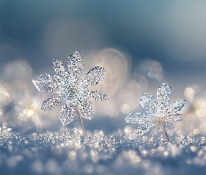 Grafika AI, Zima, Śnieżynki, Śnieg