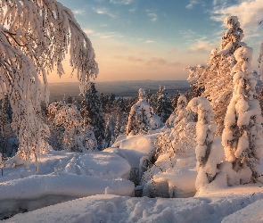 Zachód słońca, Góry, Śnieg, Zima, Ośnieżone, Drzewa