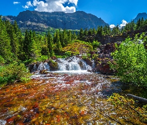 Góry, Las, Park Narodowy Glacier, Kamienie, Montana, Rzeka, Stany Zjednoczone, Drzewa