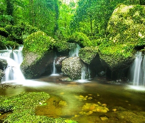 Kamienie, Omszone, Drzewa, Las, Rzeka, Skały