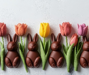 Kolorowe, Króliki, Kwiaty, Czekoladowe, Tło, Tulipany, Kompozycja, Białe