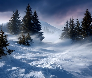 Grafika AI, Zamieć, Zbocze, Zima, Drzewa, Świerki