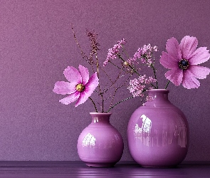 Kwiaty, Kompozycja, Fiolet, Wazony, Kosmea