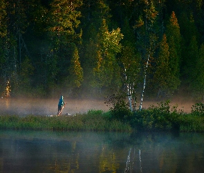 Drzewa, Las, Jezioro, Mgła