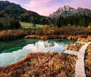 Słowenia, Pomost, Drzewa, Jesień, Drewniany, Góry, Kranjska Gora, Rezerwat przyrody Zelenci, Jezioro Zelenci