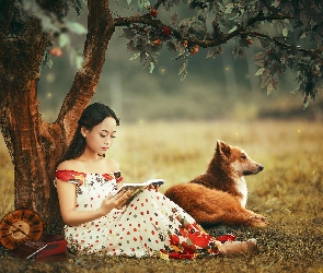 Motyle, Las, Dziewczyna, Pies