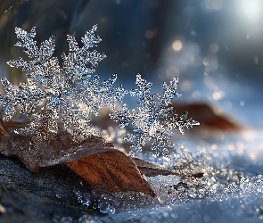 Śnieżynki, Grafika AI, Śnieg, Zima, Dwie