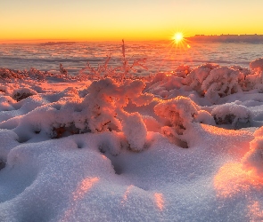 Rośliny, Zaspy, Wschód słońca, Polska, Śnieg, Góry, Zima