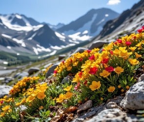 Kamienie, Czerwone, Śnieg, Grafika AI, Żółte, Góry, Kwiaty