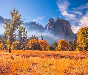 Góry, Trawa, Jesień, Drzewa, Kalifornia, Mgła, Stany Zjednoczone, Park Narodowy Yosemite