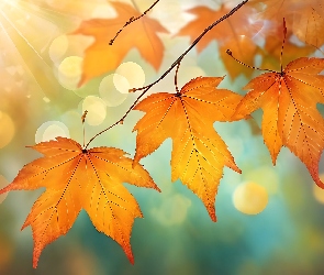 Pożółkłe, Grafika, Gałązka, Liście, Jesienne