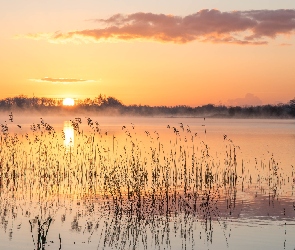 Trzciny, Wschód słońca, Jezioro
