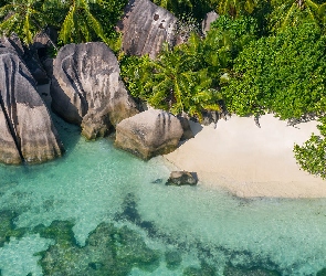 Seszele, Skały, Wyspa, Morze, Plaża, Wyspa La Digue, Roślinność, Głazy