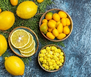 Kumkwaty, Gałązki, Cytryny