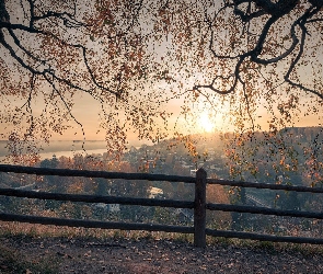 Domy, Obwód iwanowski, Wschód słońca, Rosja, Plos, Brzozy, Ogrodzenie, Płot, Drzewa