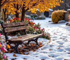 Kwiaty, Pożółkłe, Ławka, Krzewy, Śnieg, Drzewa, Park, Liście