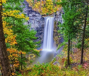 Stany Zjednoczone, Stan Nowy Jork, Taughannock Falls, Wodospad, Skały, Drzewa