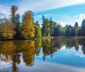 Las, Jesień, Odbicie, Staw, Drzewa