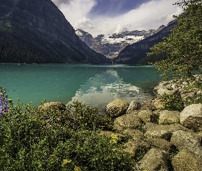 Jezioro, Drzewo, Góry, Park Narodowy Banff, Kwiaty, Lake Louise, Kanada, Kamienie