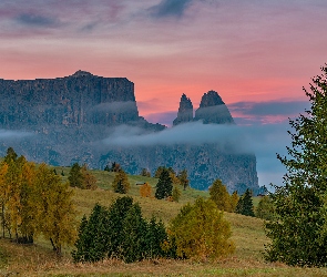 Włochy, Mgła, Polana, Tyrol, Góra Schlern, Dolomity, Skały, Las, Góry, Drzewa