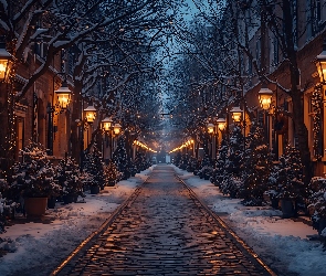 Domy, Latarnie, Drzewa, Ulica, Zima