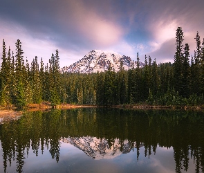 Odbicie, Reflection Lake, Jezioro, Chmury, Park Narodowy Mount Rainier, Stan Waszyngton, Stratowulkan, Góra, Stany Zjednoczone, Drzewa