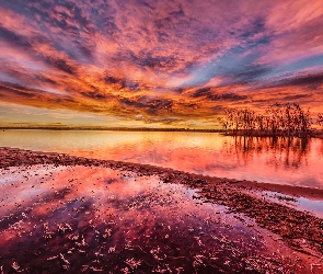 Drzewa, Wschód słońca, Kolorado, Odbicie, Chmury, Stany Zjednoczone, Jezioro Chatfield