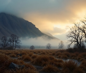 Mgła, Mokradła, Drzewa, Góra, Traw, Jesień, Kępki