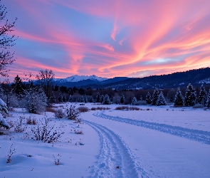 Zachód słońca, Góry, Drzewa, Grafika AI, Łąka, Zima, Ośnieżona