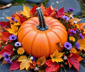 AI, Kwiaty, Liście, Dynia, Żółte, Czerwone