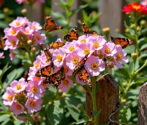 Ogród, Płot, Motyle, Kwiaty