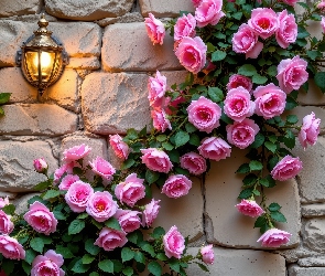 Kwiaty, Grafika AI, Lampa, Ściana, Róże