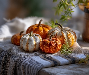 Grafika AI, Rośliny, Dynie, Tkaniny