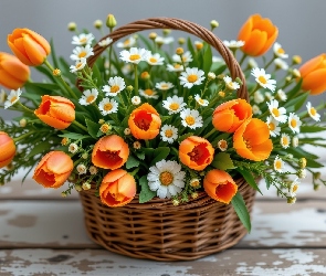 Kosz, Wiklinowy, Tulipany, Deski, Stokrotki, Pomarańczowe, Białe